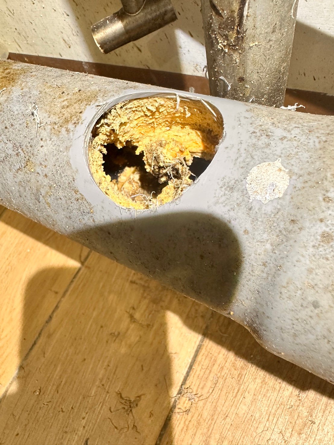 高雄鼓山區大樓排水主幹｜開孔檢修 × 高壓水刀疏通工程