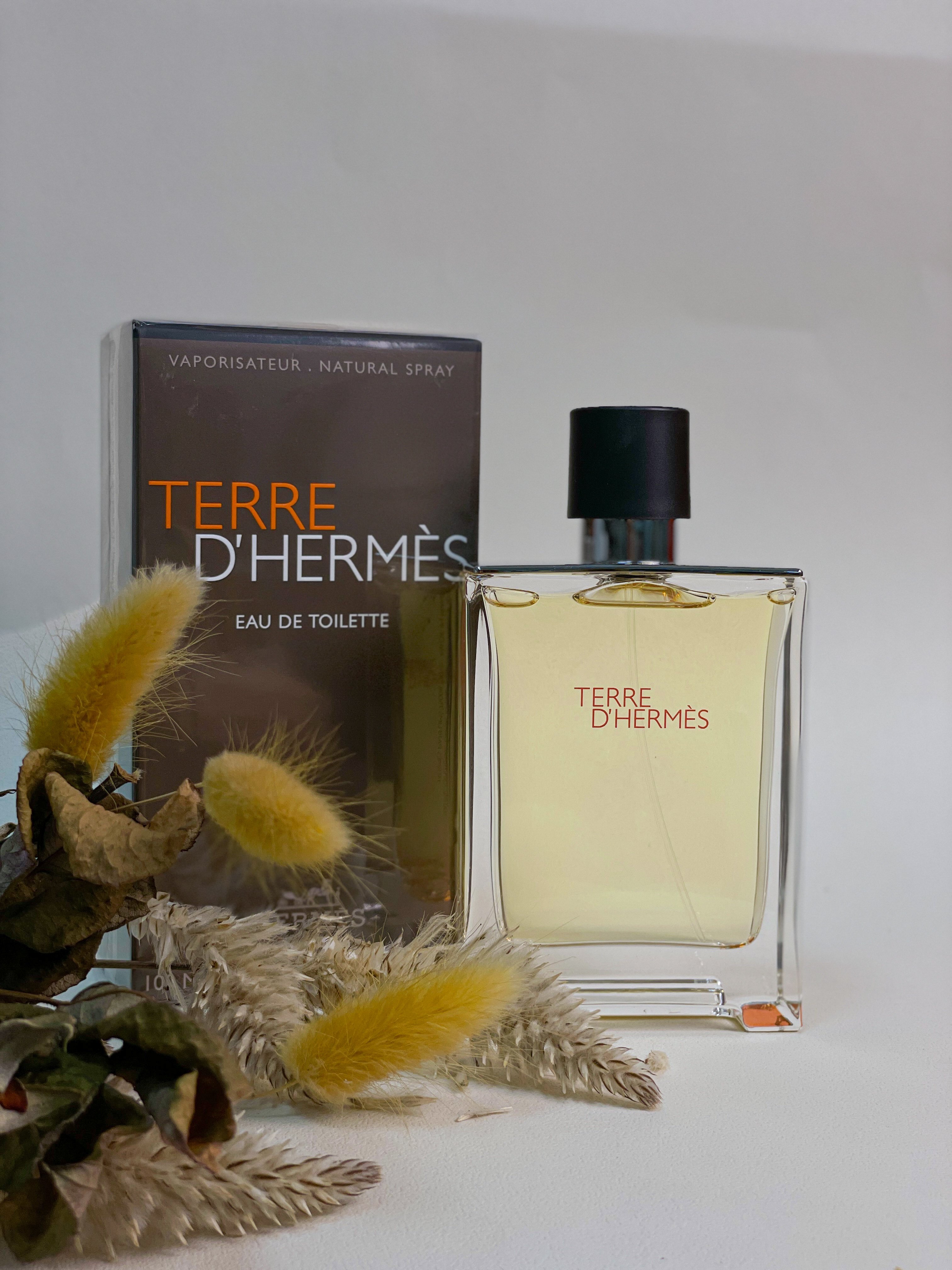 Hermes Terre D'Hermes 愛馬仕大地男性淡香水 100ML