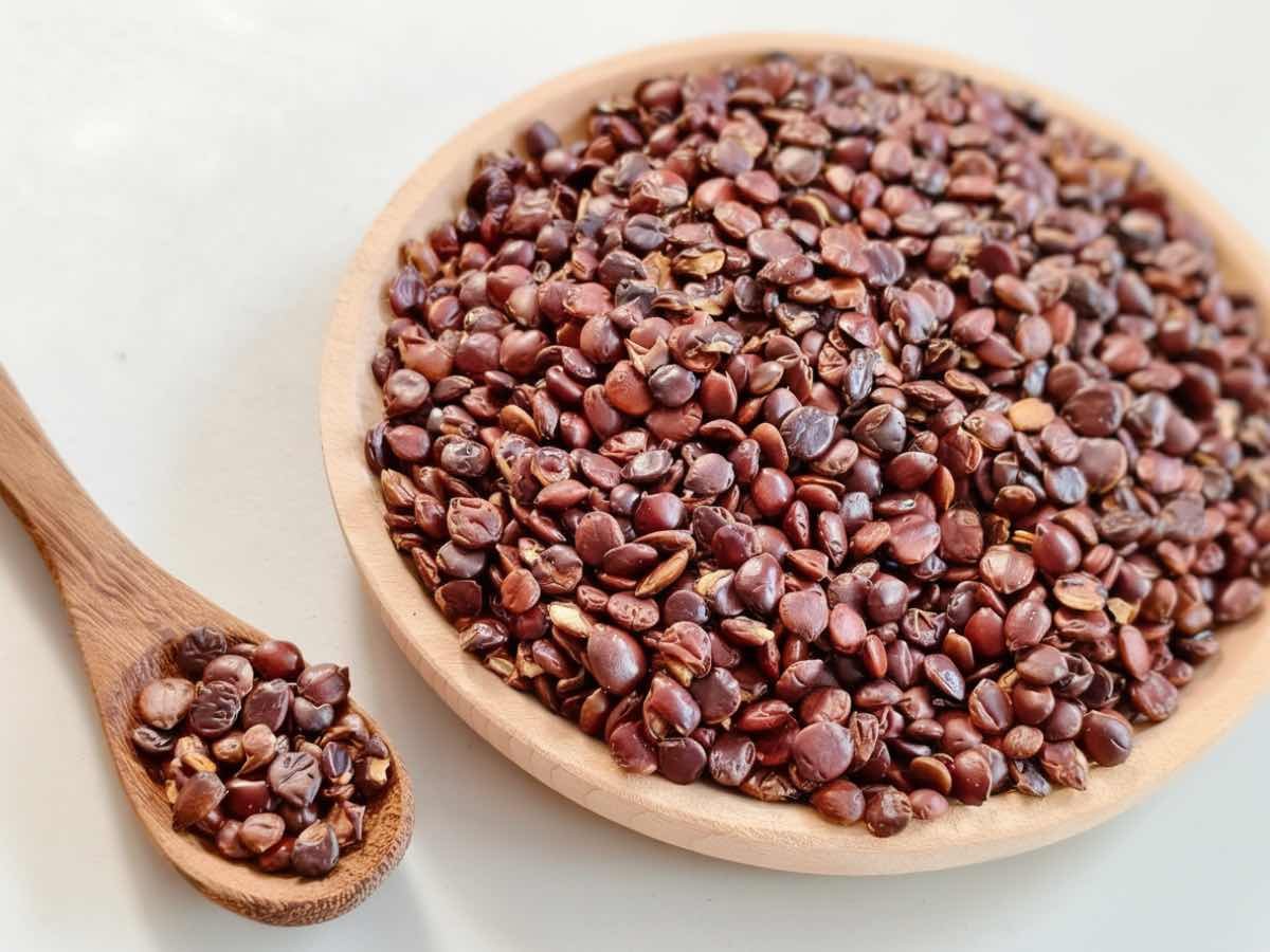 酸棗仁功效與禁忌：助眠放鬆、居家漢方茶及使用注意