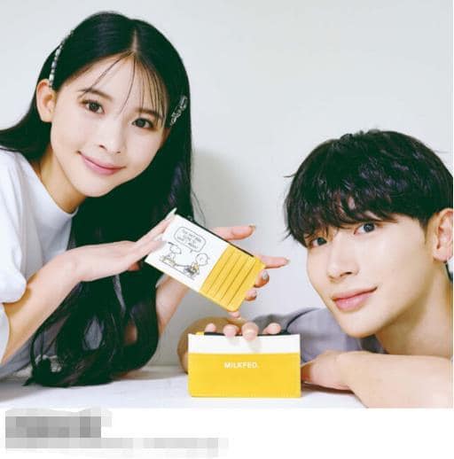 日本雜誌附錄mini 特製查理布朗卡片零錢包