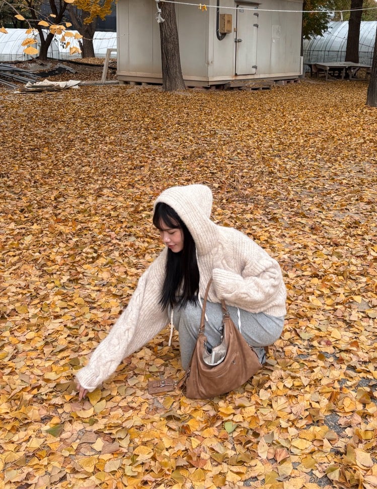 (現貨) 暖糯麻花連帽針織外套 2colors