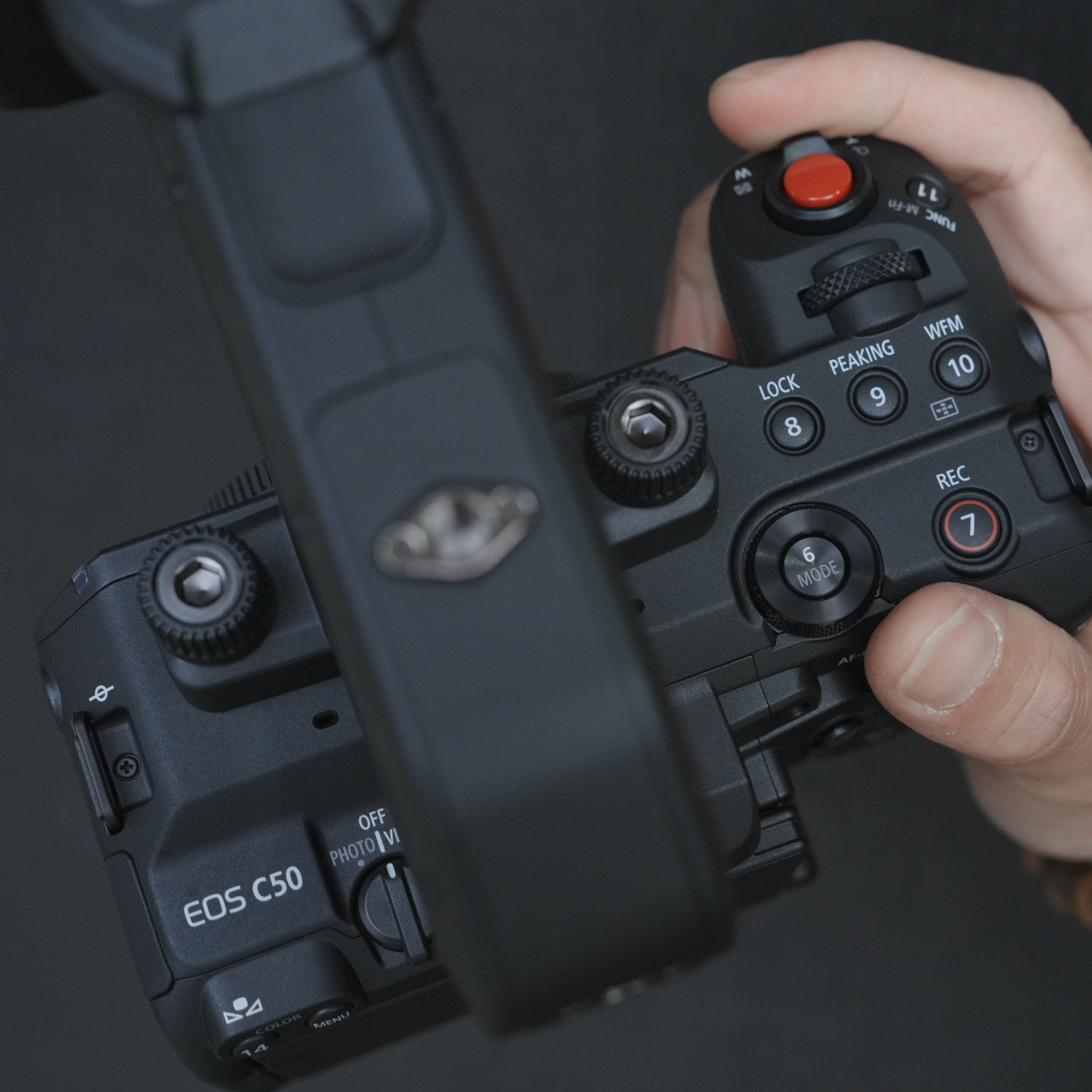 鏡花園【Canon C50 攝影機】