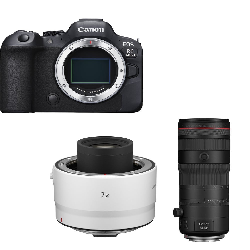 Canon R62 & RF 70-200mm Z & RF 2X Canon R62 & RF 70-200mm Z & RF 2X