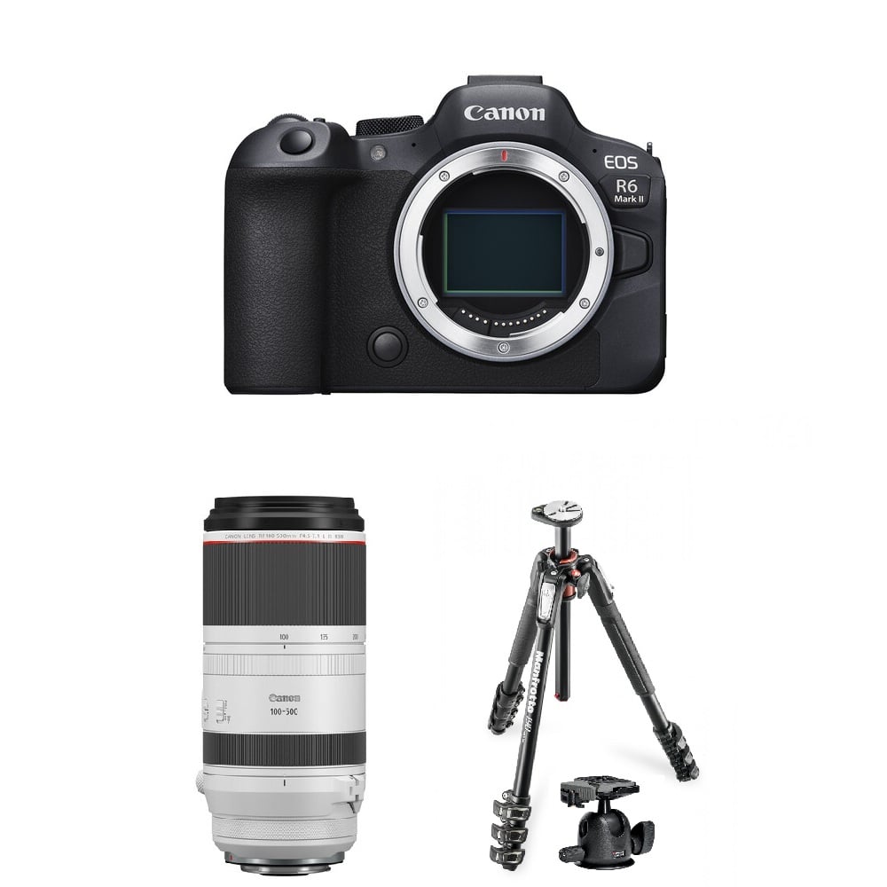 Canon R62 &RF 100-500mm & Manfrotto 球型雲台腳架