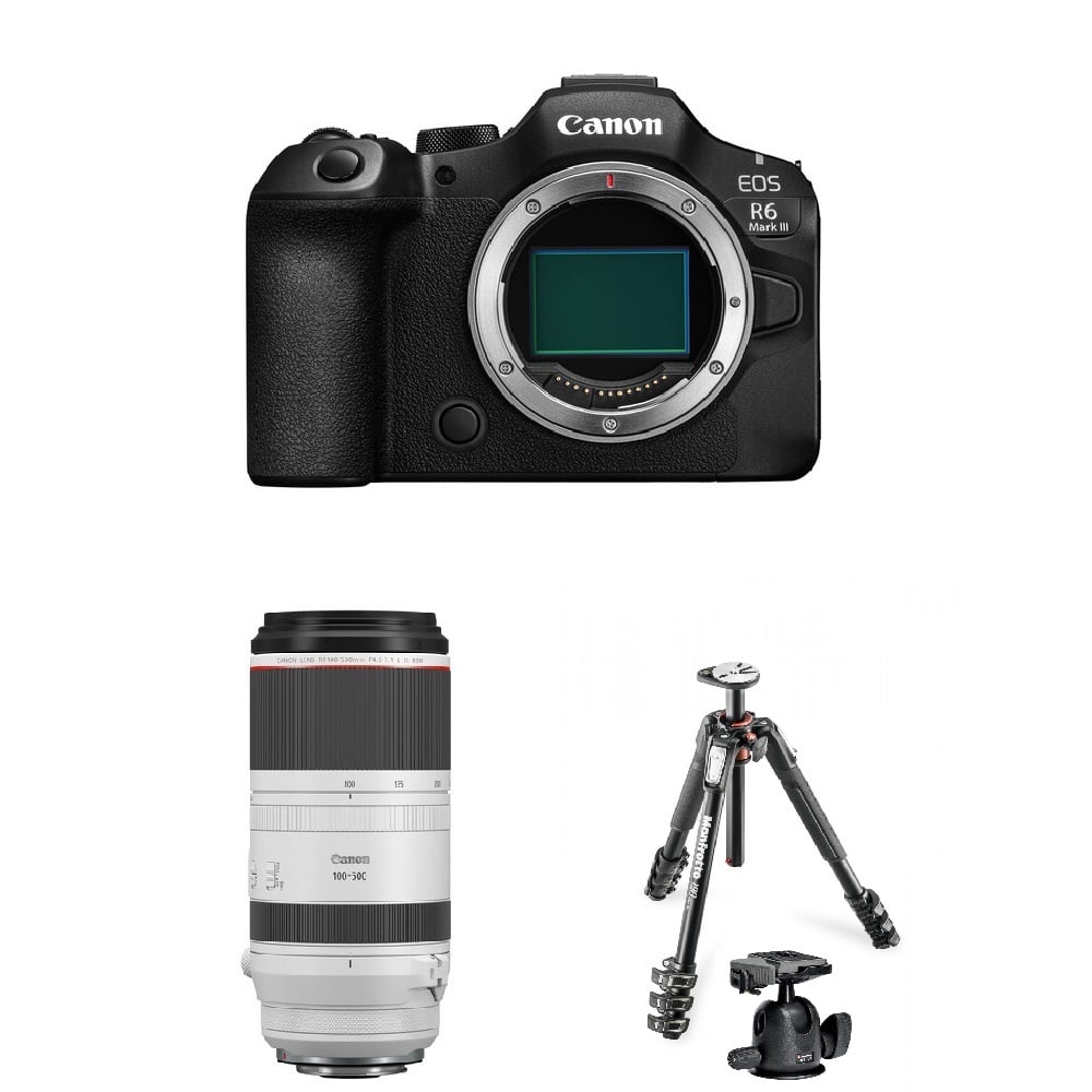 Canon R63 &RF 100-500mm & Manfrotto 球型雲台腳架