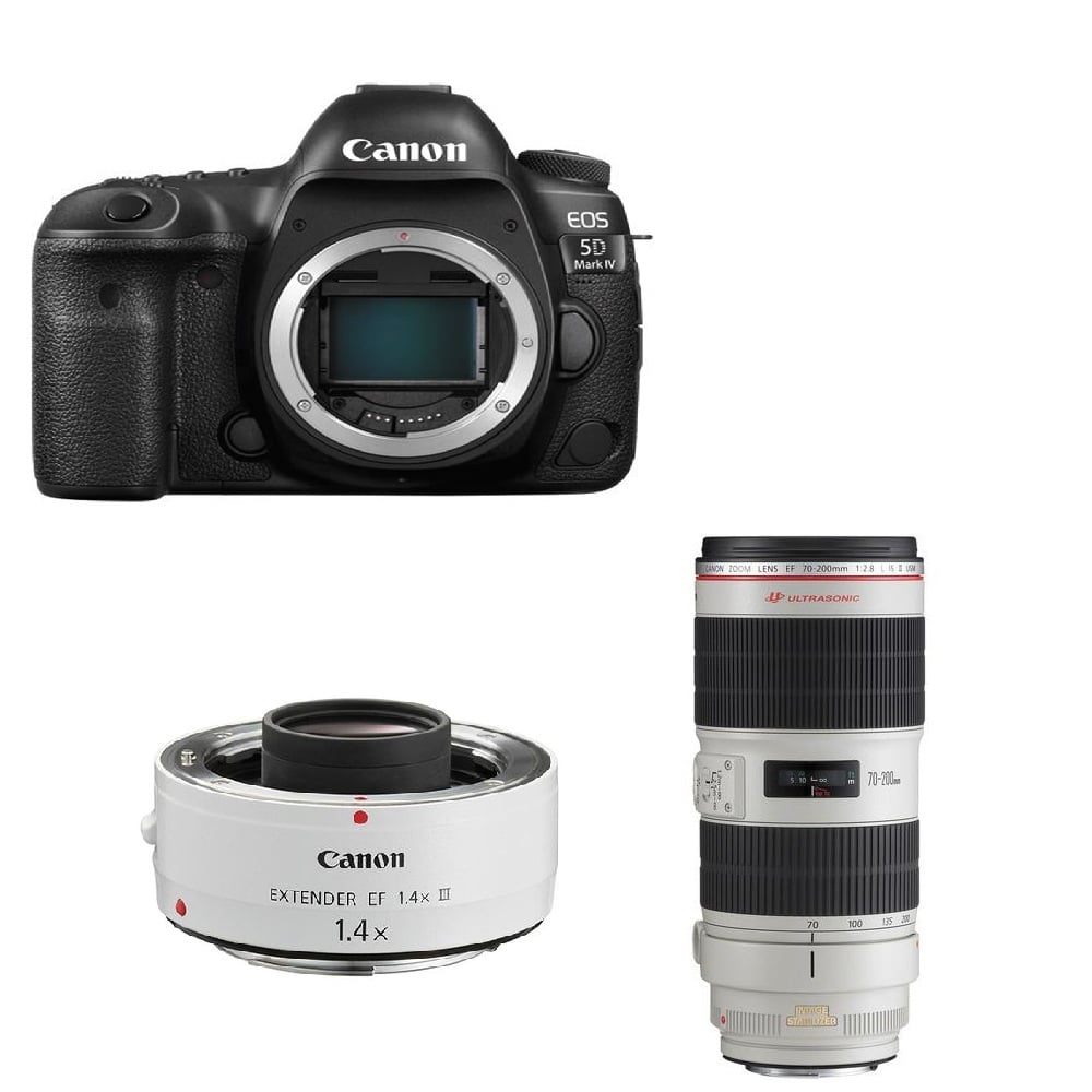 Canon 5D4 & EF 70-200mm II & EF 1.4X