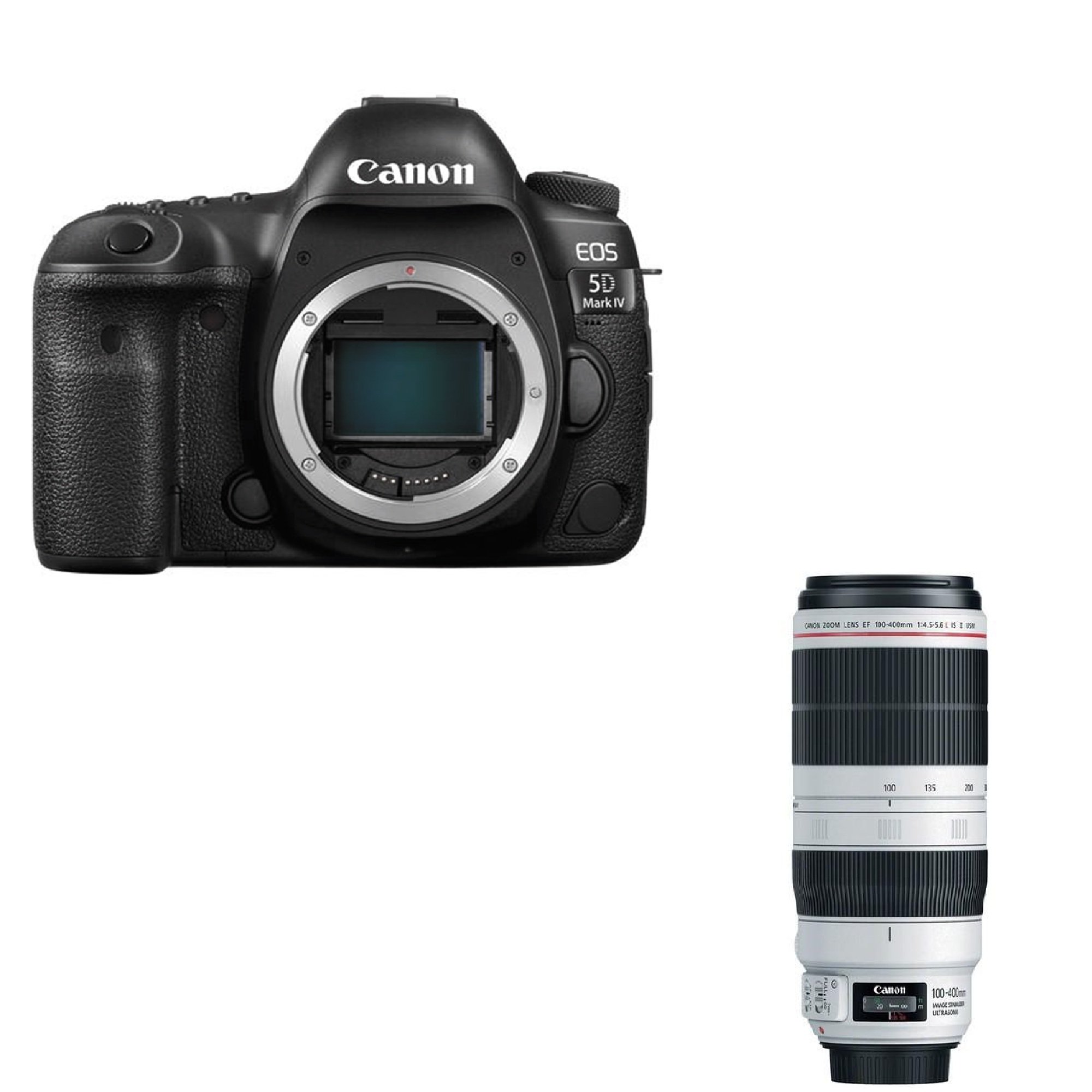 Canon 5D4 & EF 100-400mm II
