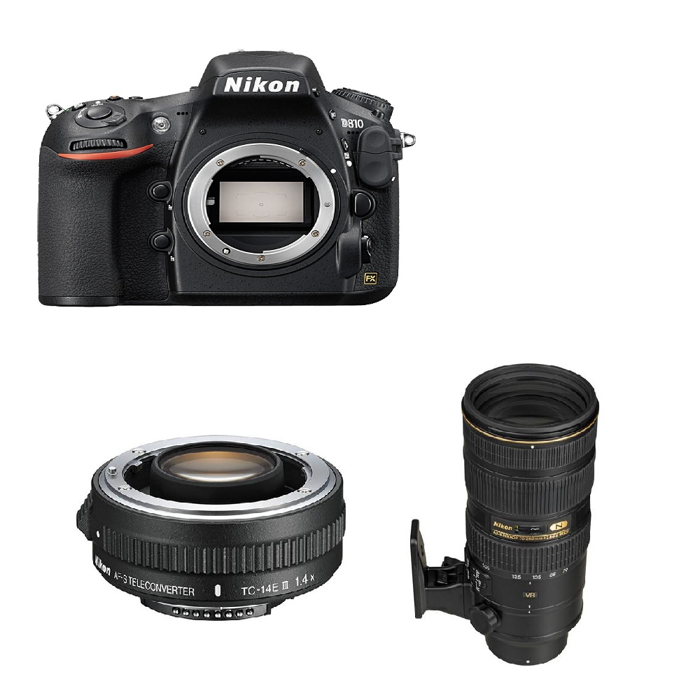 Nikon D810 & 70-200mm & 1.4X Nikon D810 & 70-200mm & 1.4X