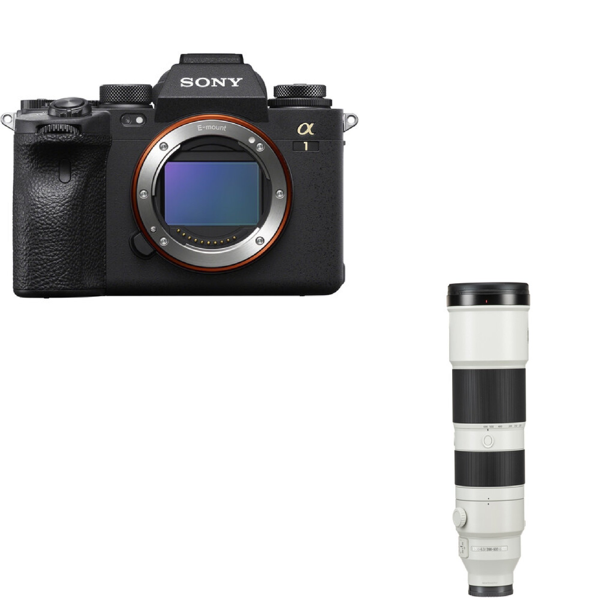 Sony A1 & FE 200-600mm
