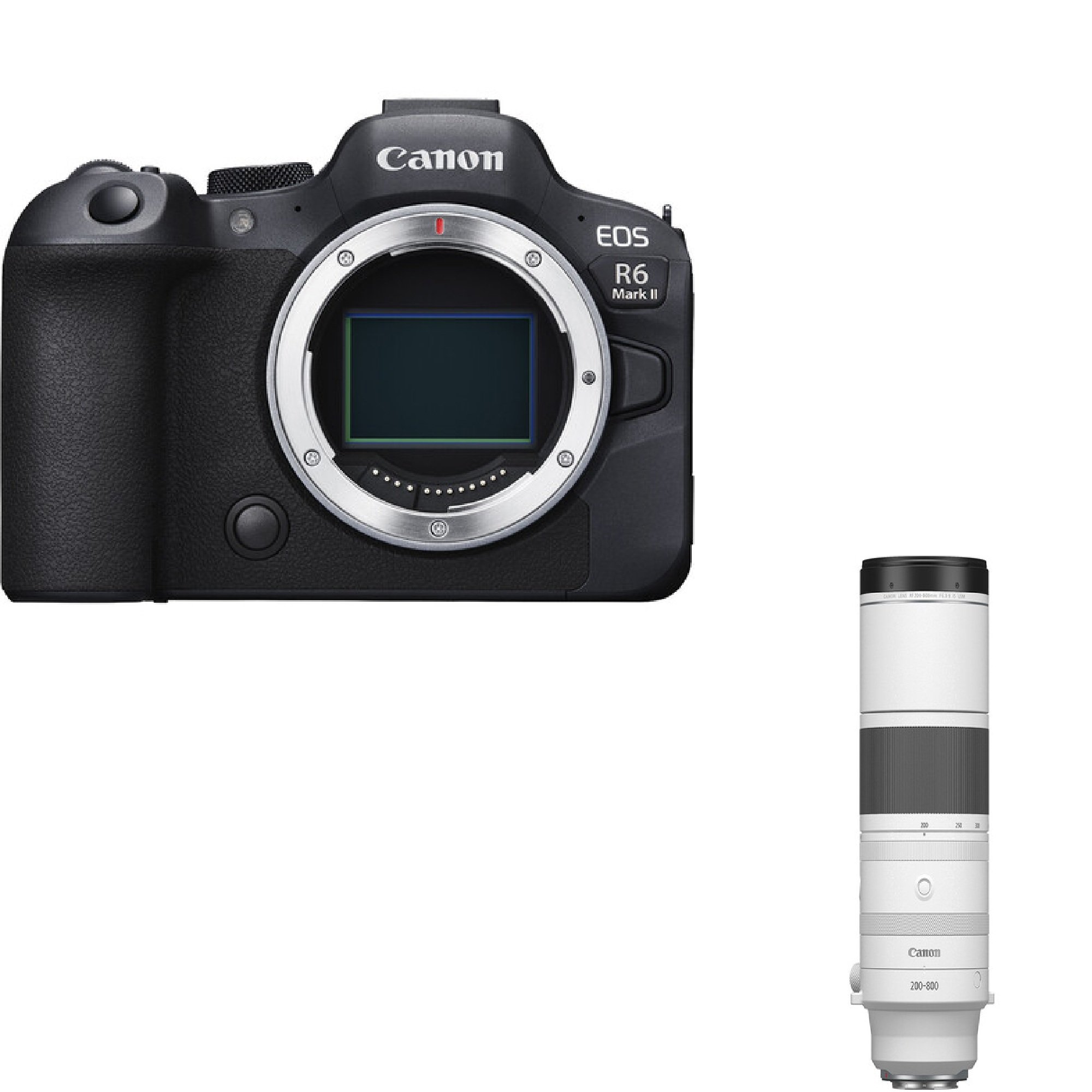 Canon R62 &RF 200-800mm