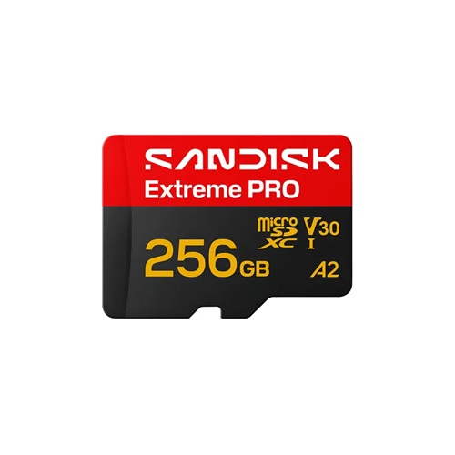 SanDisk Micro-SD 256G SanDisk Micro-SD 256G