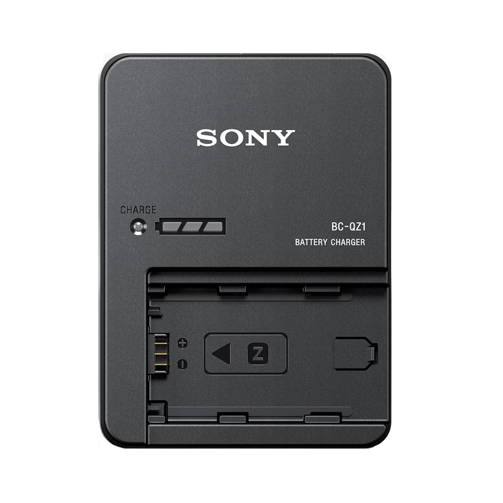 BC-QZ1 原廠充電器