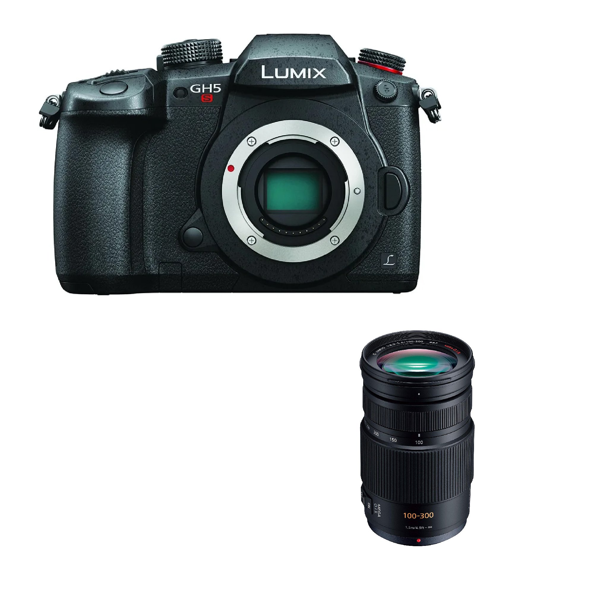 Panasonic GH5S &100-300mm 長天數優惠