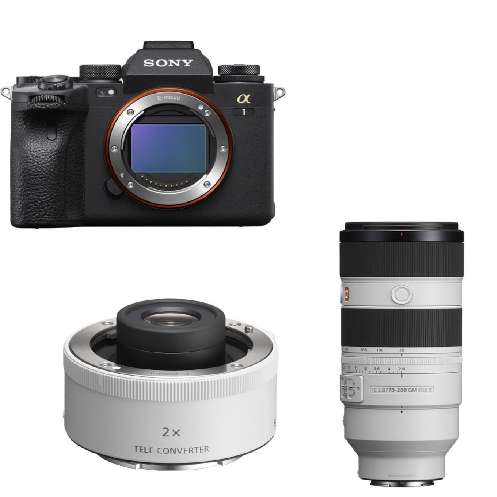 Sony A1 & FE 70-200mm II & FE 2X Sony A1 & FE 70-200mm II & FE 2X