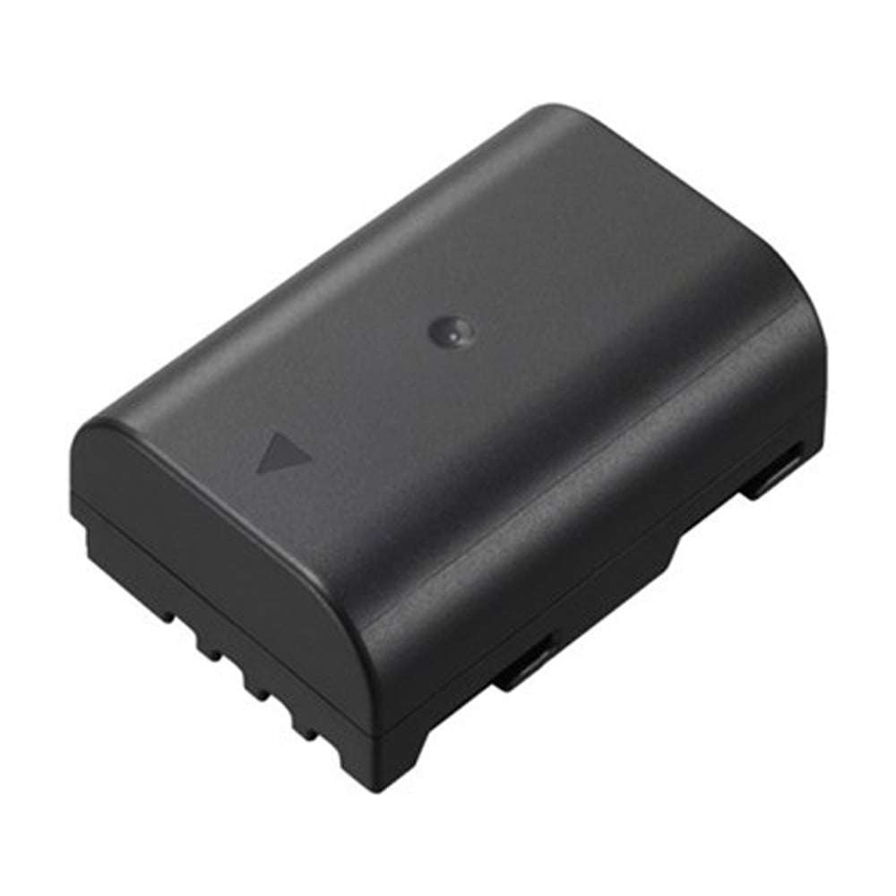 DMW-BLF19E/GT/PP 原廠電池