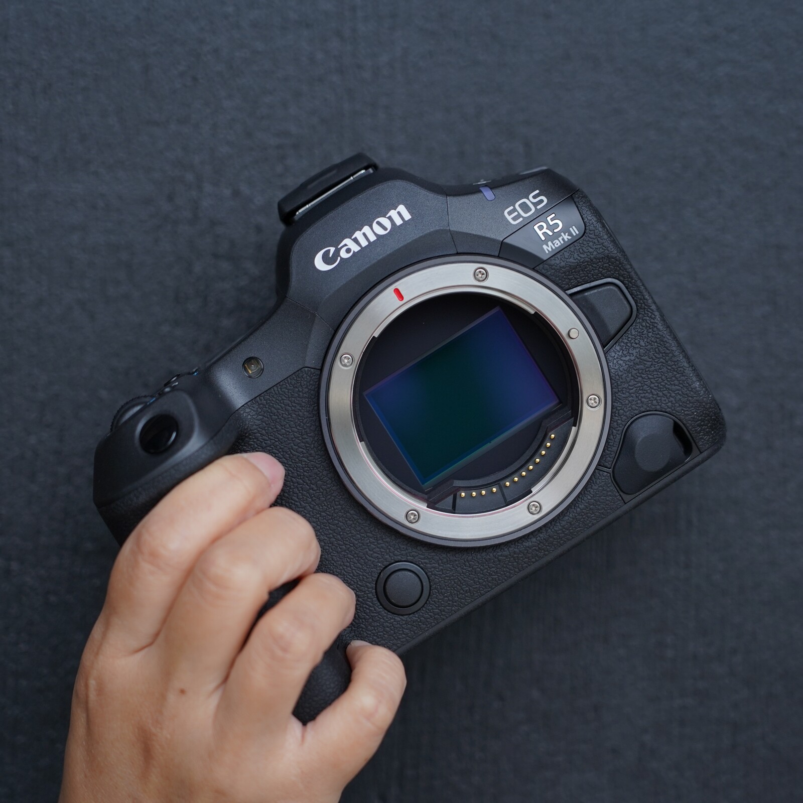 鏡花園【Canon R5 Mark II、R6 Mark III 怎麼選？別只看畫素和連拍】