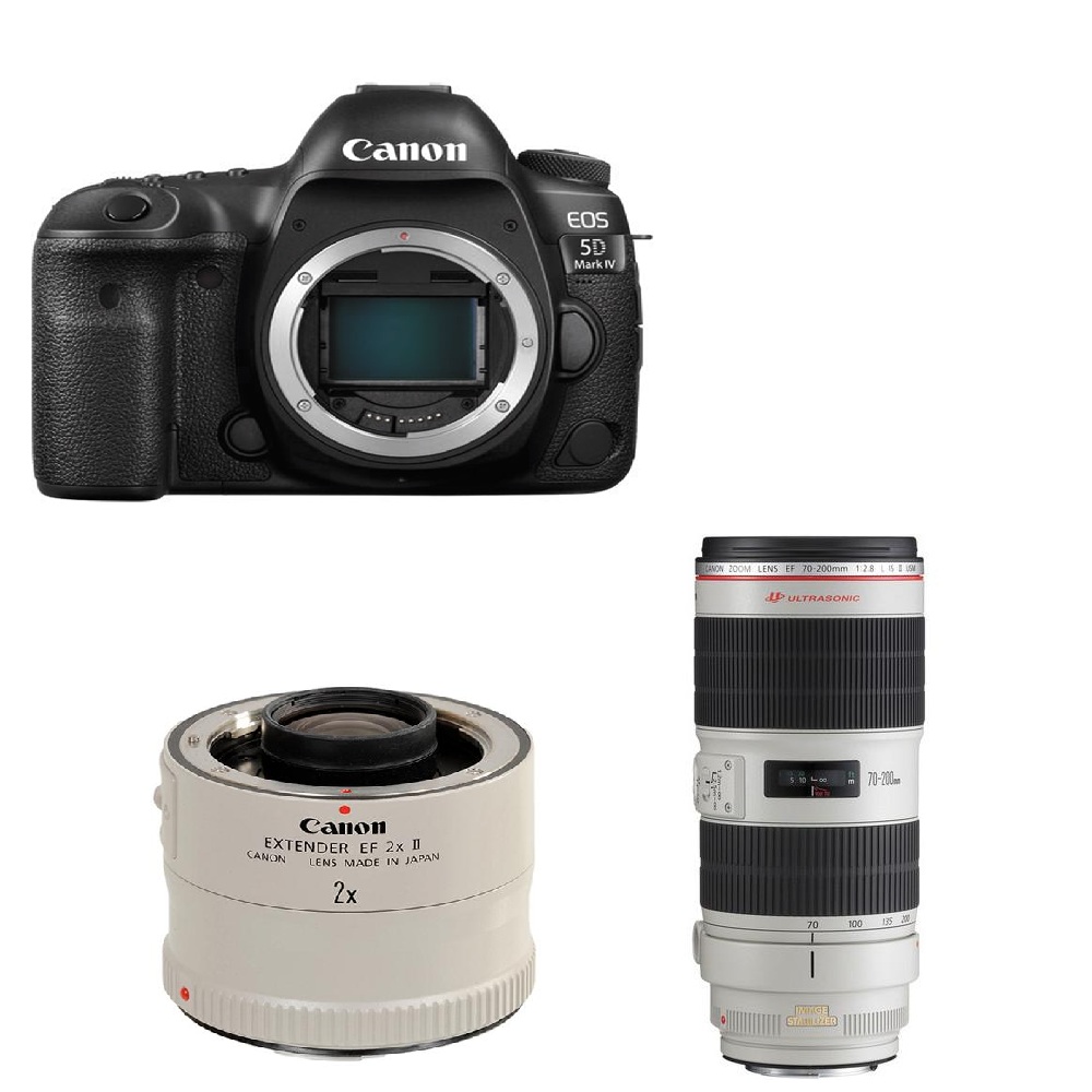 Canon 5D4 & EF 70-200mm II & EF 2X Canon 5D4 & EF 70-200mm II & EF 2X