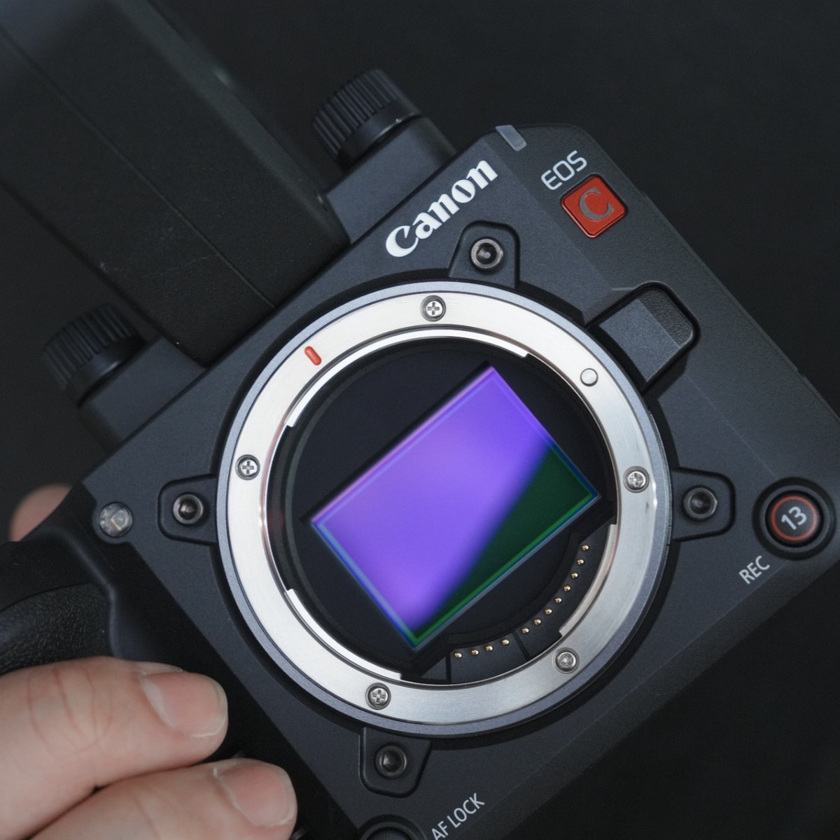 鏡花園【Canon EOS C50 vs R6 V：別只比 7K，先決定你要怎麼拍】