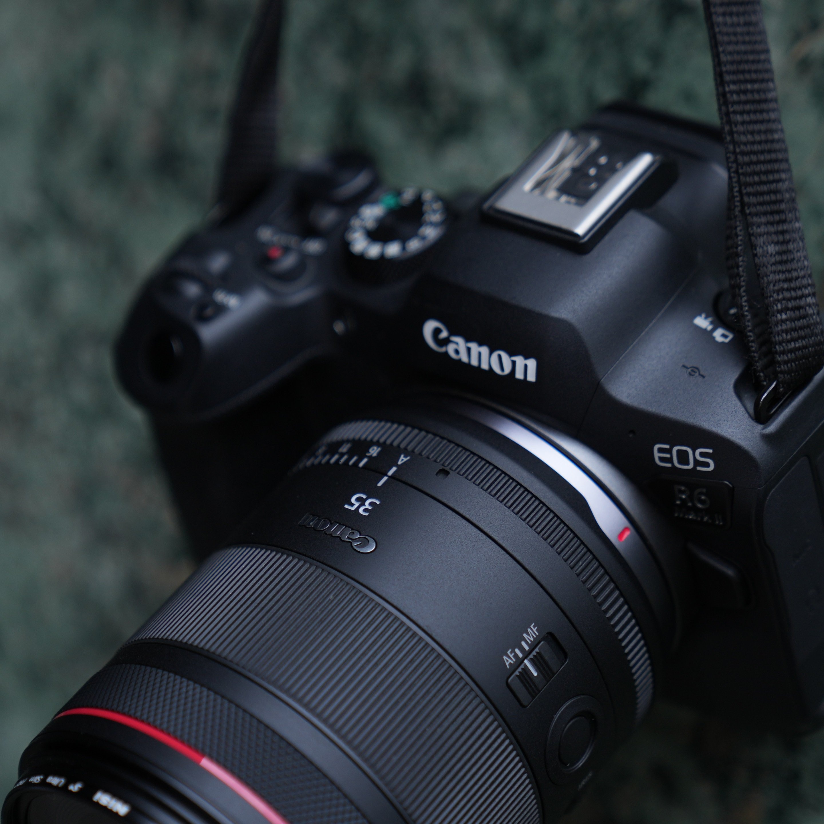 鏡花園【Canon RF 35mm f1.4 L VCM】