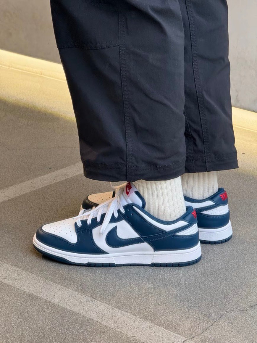 【熱銷款】NIKE DUNK LOW 藏青 海軍藍 男鞋｜DD1391-400