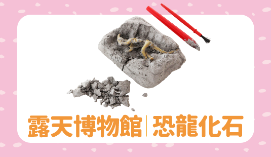 教具｜恐龍化石