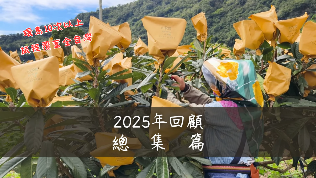 2025年的拍攝之旅回顧