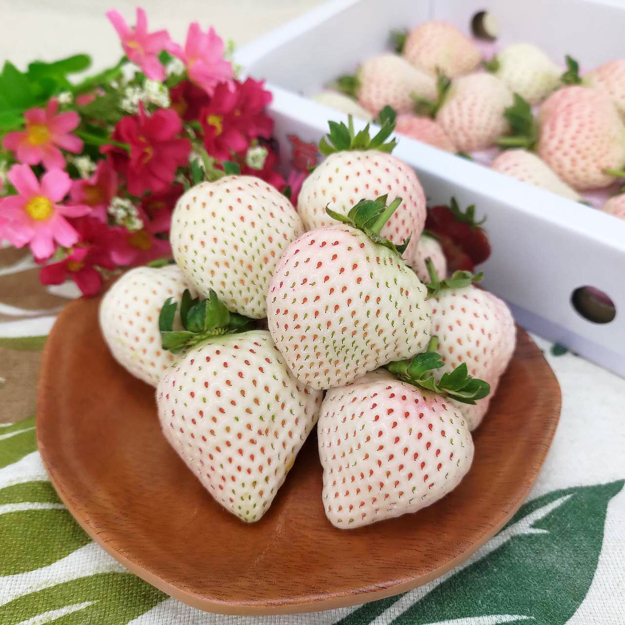 大湖白草莓 新鮮上市 (純正台灣產)