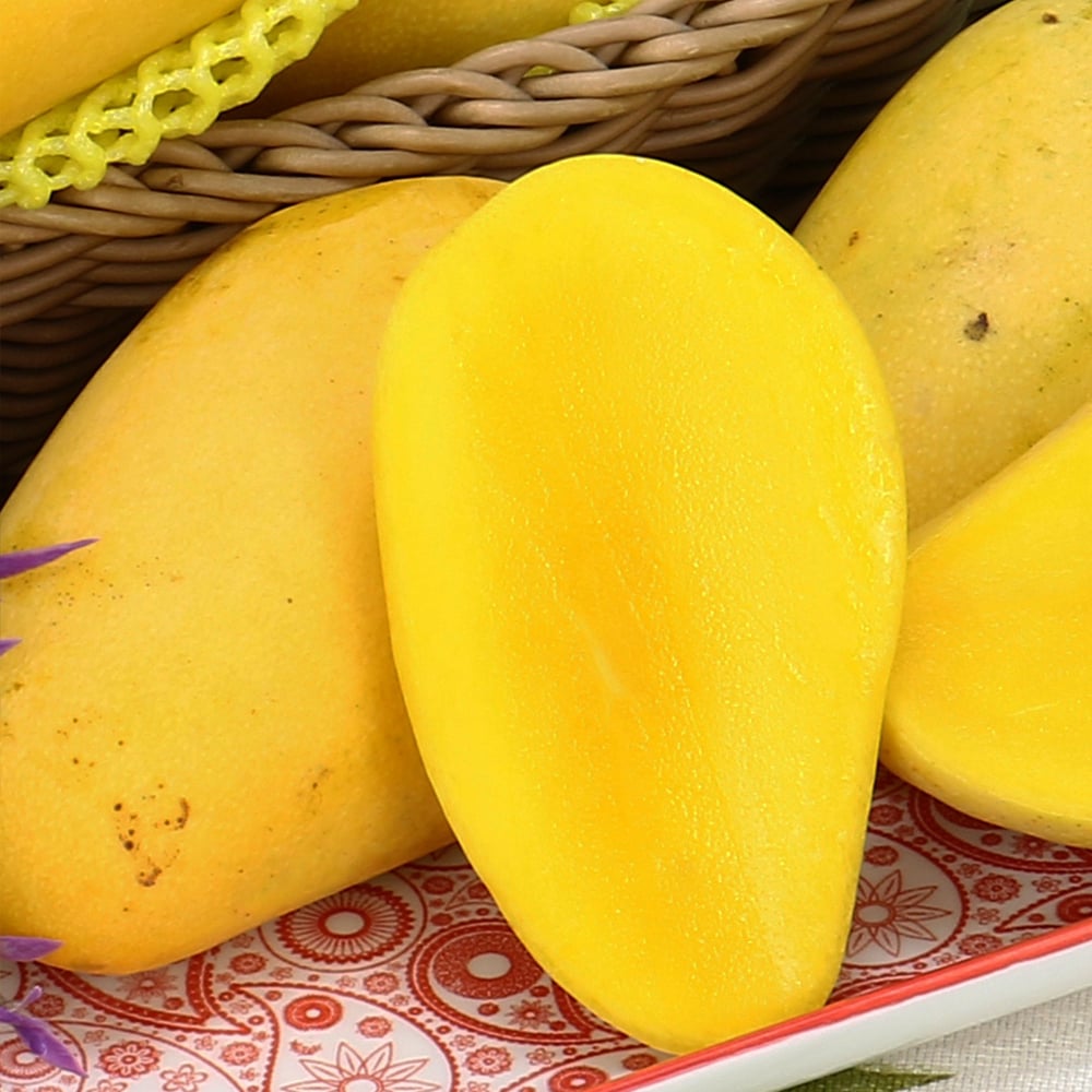 冬天的芒果-四季芒果