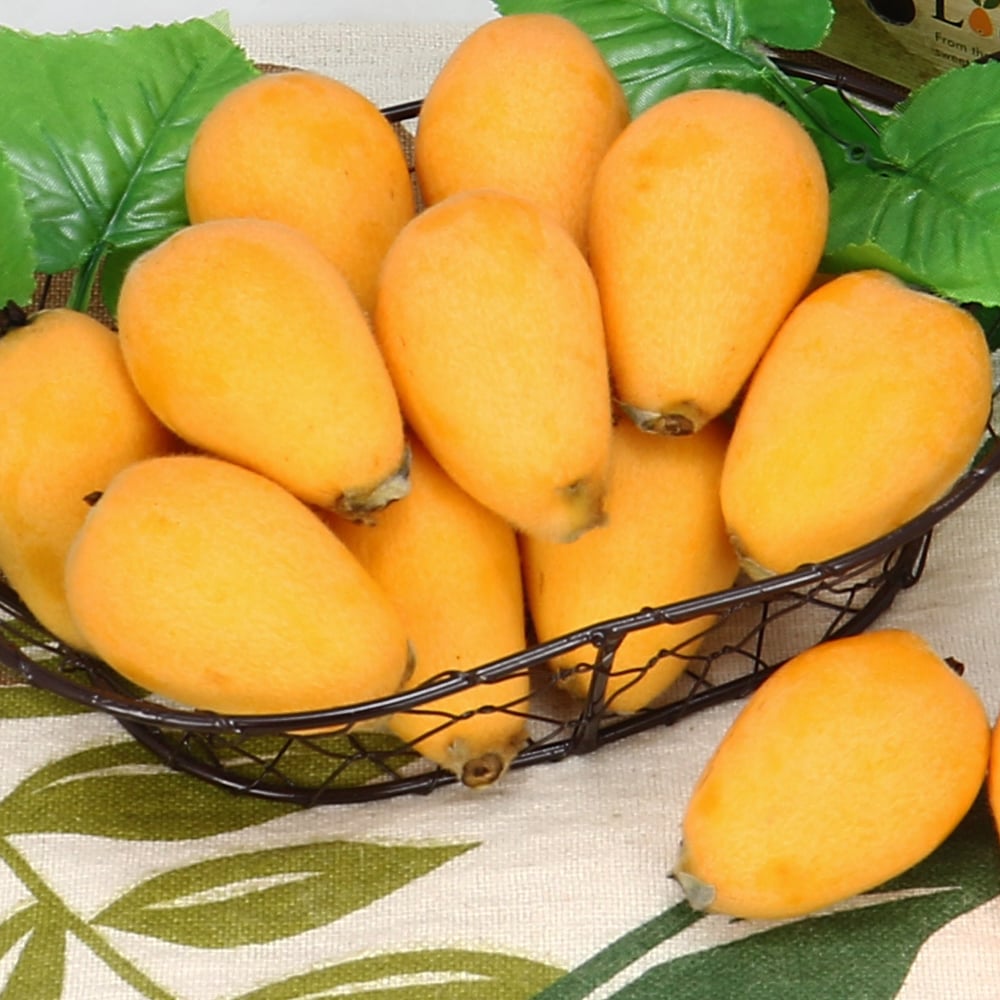 太麻里枇杷｜日照充足・細嫩清甜・常溫配送
