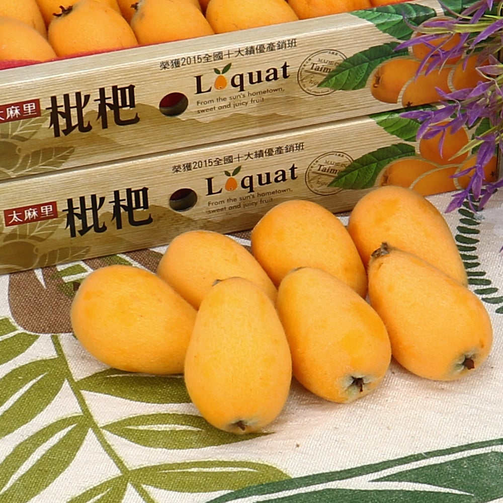 太麻里枇杷｜日照充足・細嫩清甜・常溫配送