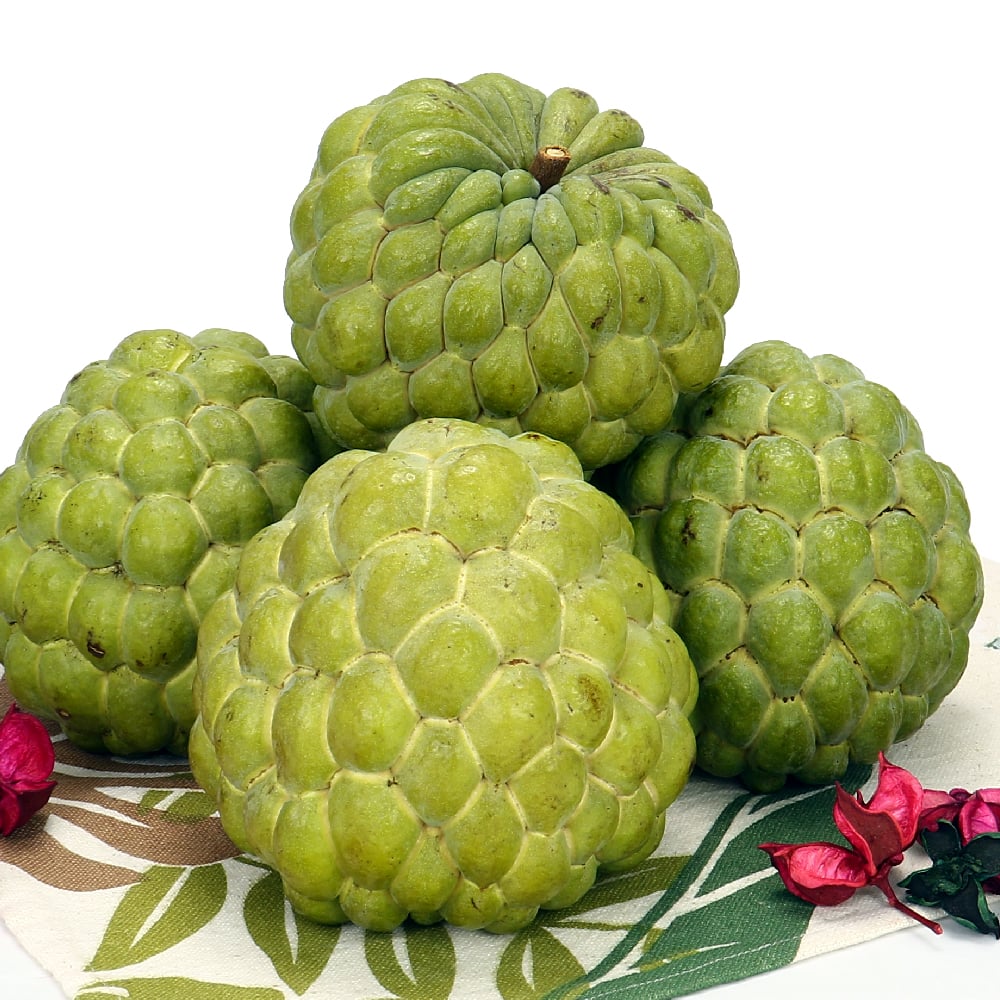 大目釋迦｜果肉厚實・香甜滑順・常溫配送