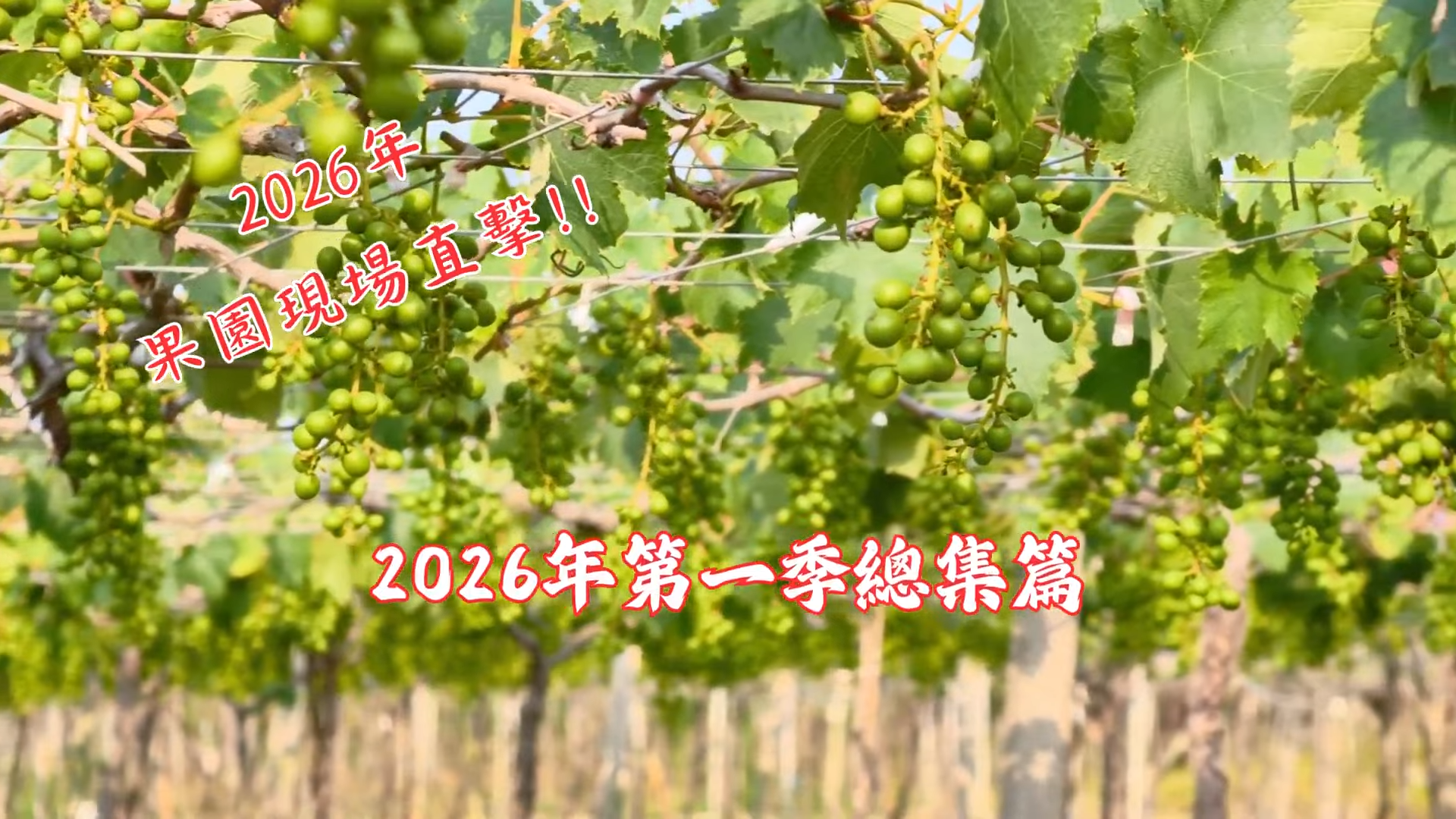 2026年的第一季旅程
