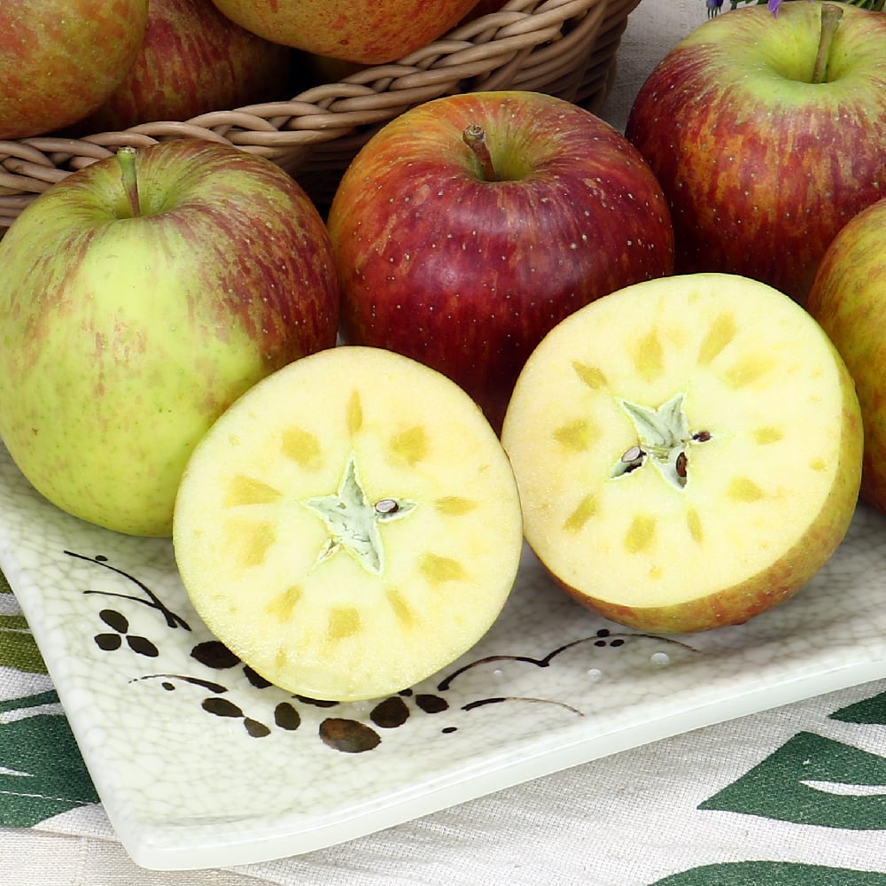 福壽山蜜蘋果產季即將來臨