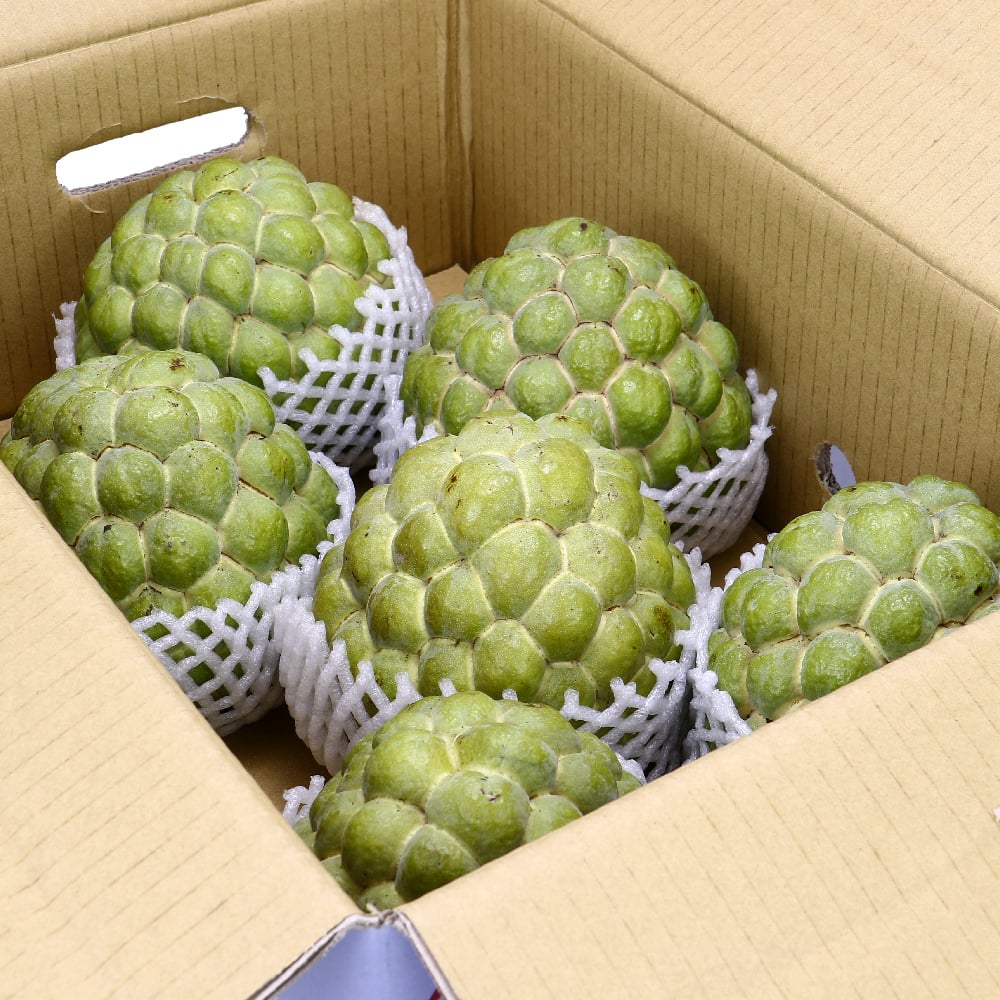 大目釋迦｜果肉厚實・香甜滑順・常溫配送