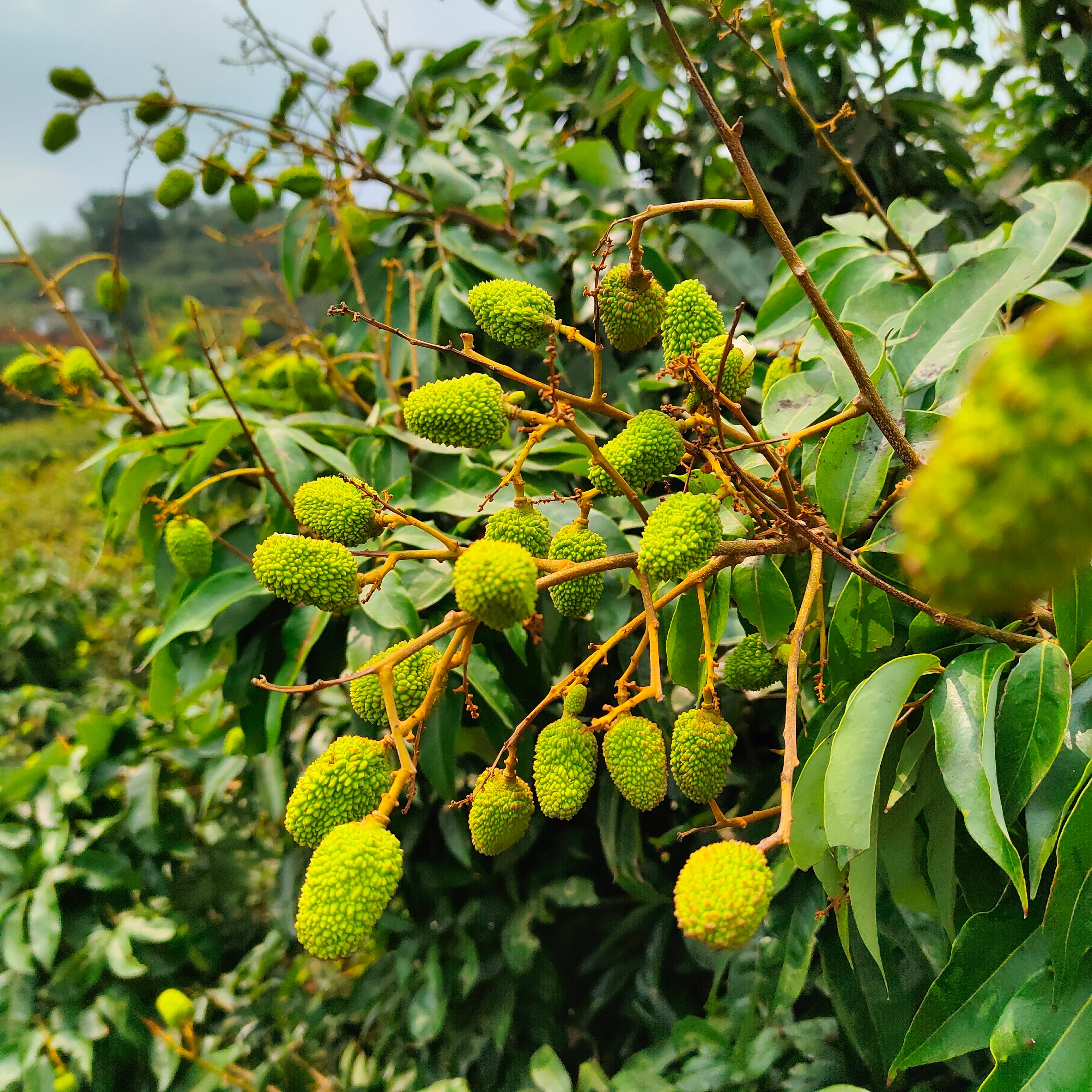 2023春末夏初環島考察行程
