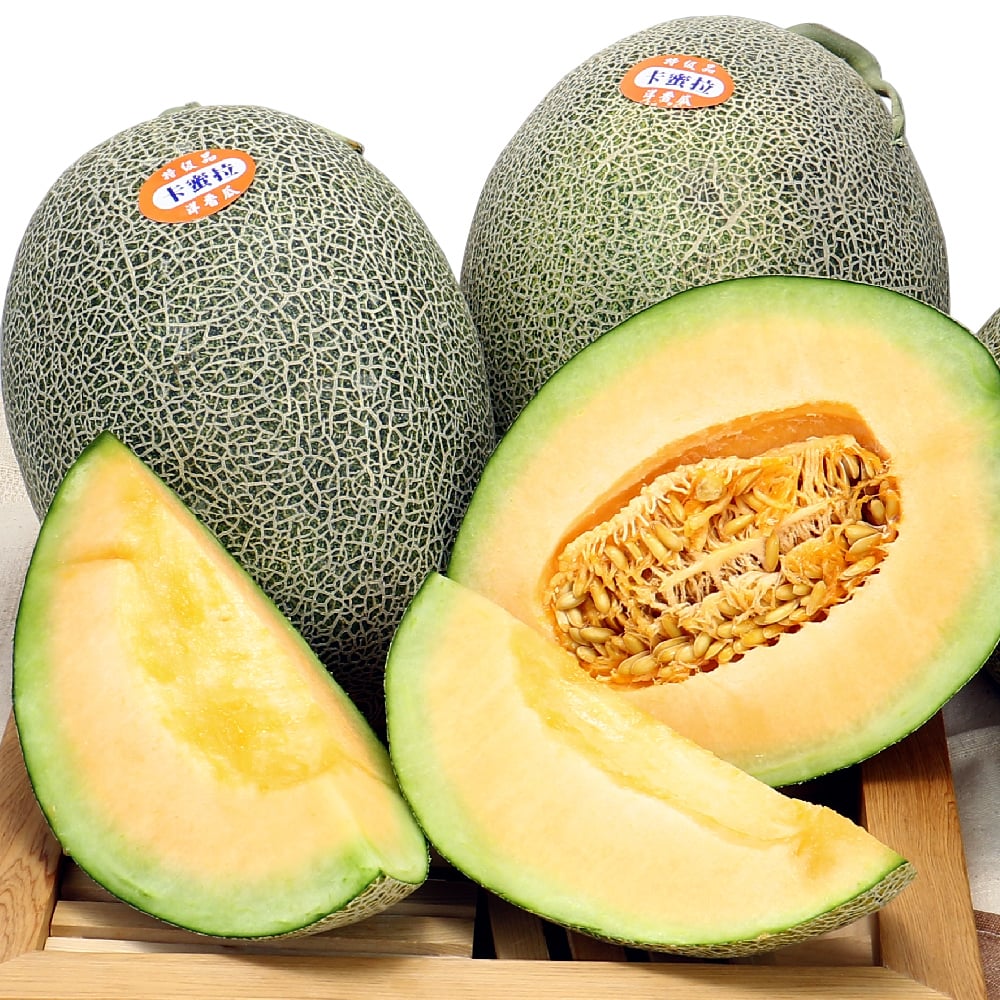 新產季卡蜜拉已經上市