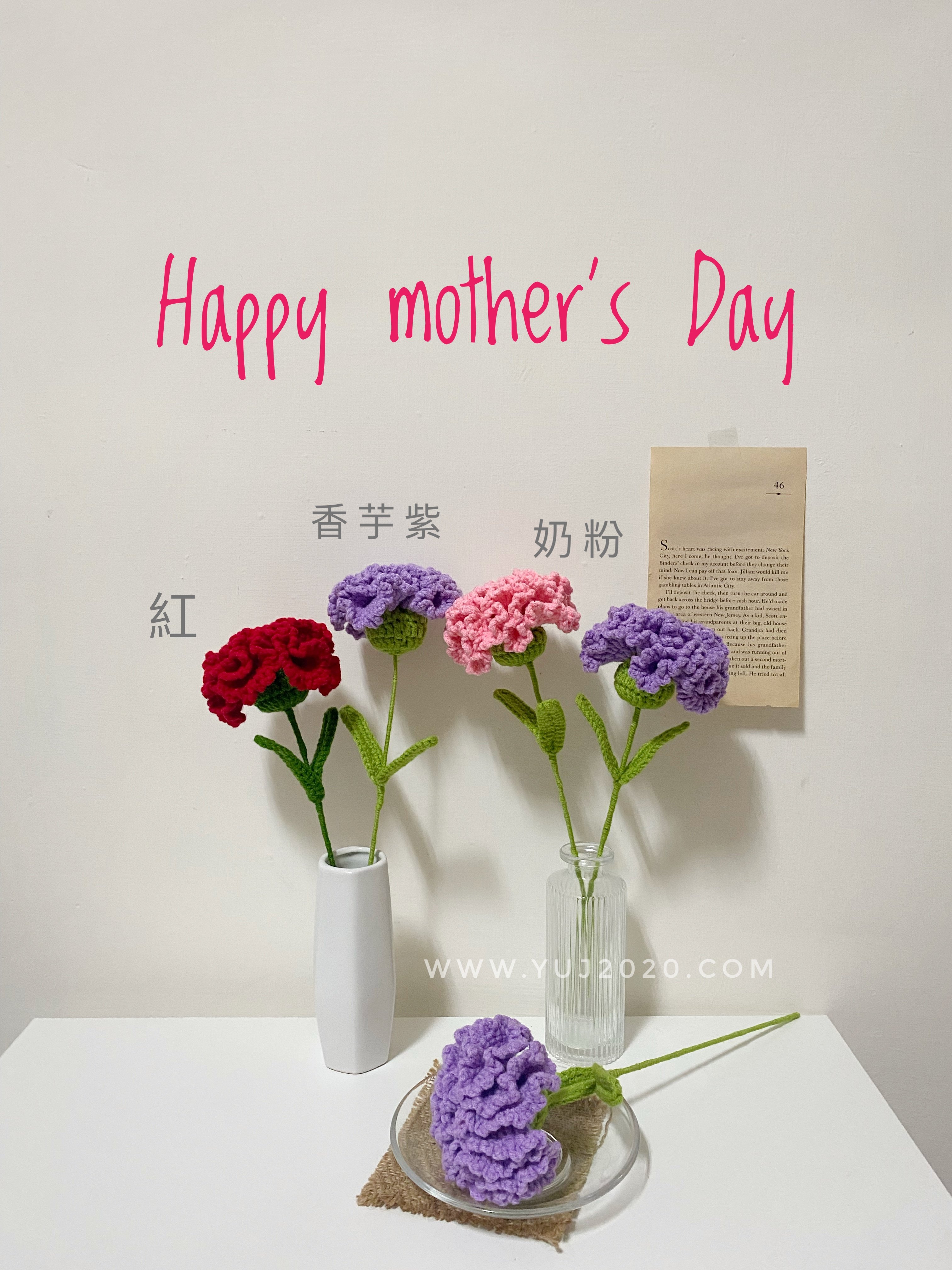 【材料包】康乃馨