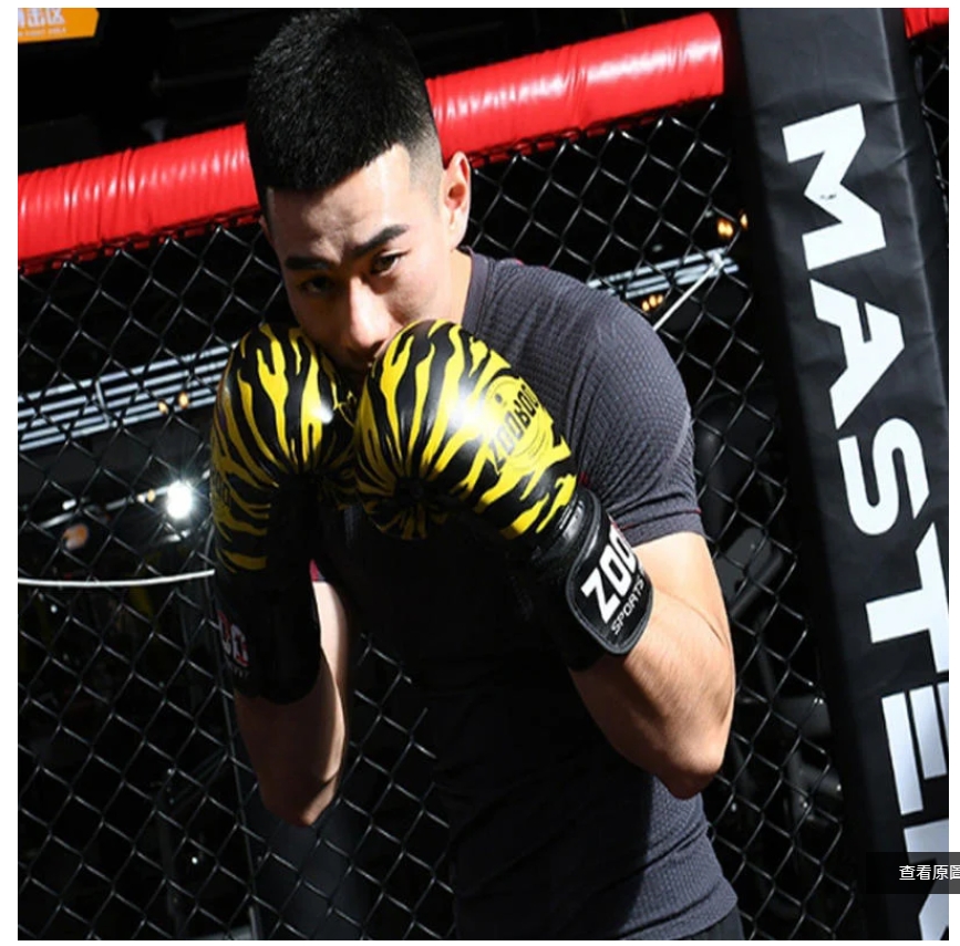 ~子甄彣璟~虎纹10盎司拳擊手套 一次成型拳套 拳擊手套 搏擊手套 散打 泰拳 格鬥 散打 搏擊 武術 比賽沙袋拳套