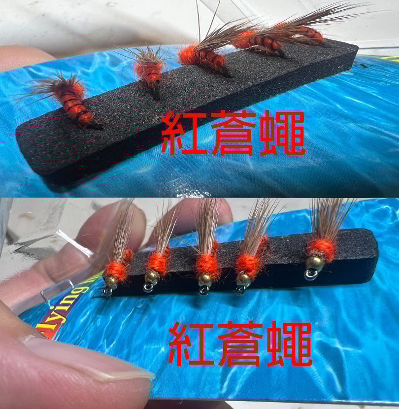 ~子甄彣璟~格裡菲斯 昆蟲 仿真餌 一盒5只卡裝飛蠅鉤 飛釣 擬餌 仿生餌 飛蠅鉤 仿生 飛蠅 蒼蠅 路亞假餌 毛鉤 路亞餌
