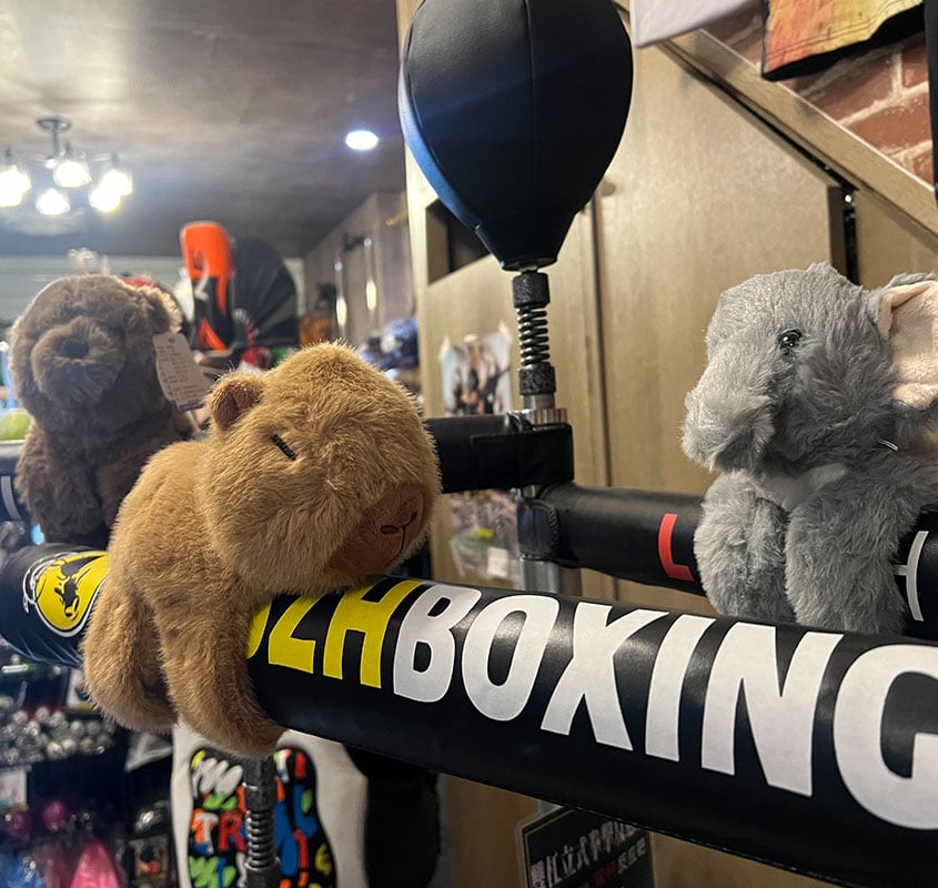 ~子甄彣璟~卡通創意啪啪圈 毛絨布偶 水豚君 大象 小熊 公仔 手環 手環啪啪圈 玩偶 趴趴抱手腕