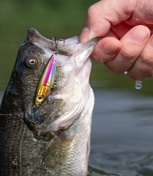 ~子甄彣璟~金頭粉線 微物之字狗 浮水小鉛筆 仿生餌 路亞餌 假餌 誘餌 擬餌 假魚 小魚 釣魚