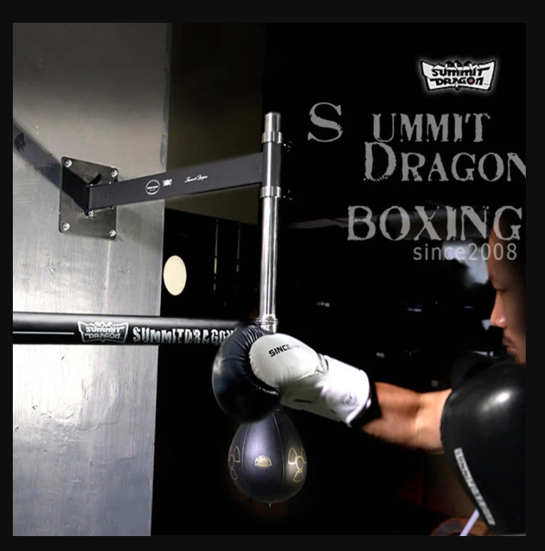 ~子甄彣璟~SUMMITDRAGO 拳館款 拳擊牆靶 旋轉棍靶 速度球 拳擊球 閃避訓練 躲閃防守靶 散打 泰拳