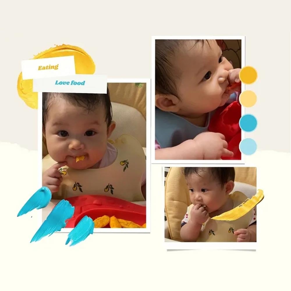 SnowBear小白熊 智慧營養食物調理機 | 一機搞定寶寶泥 | 手指食物也可以 | 7-8m+副食品食譜教學