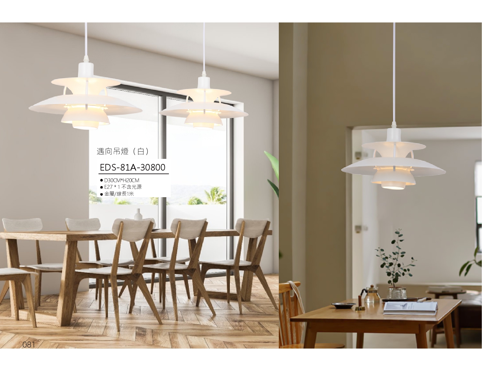 遇向吊燈 EDS 81