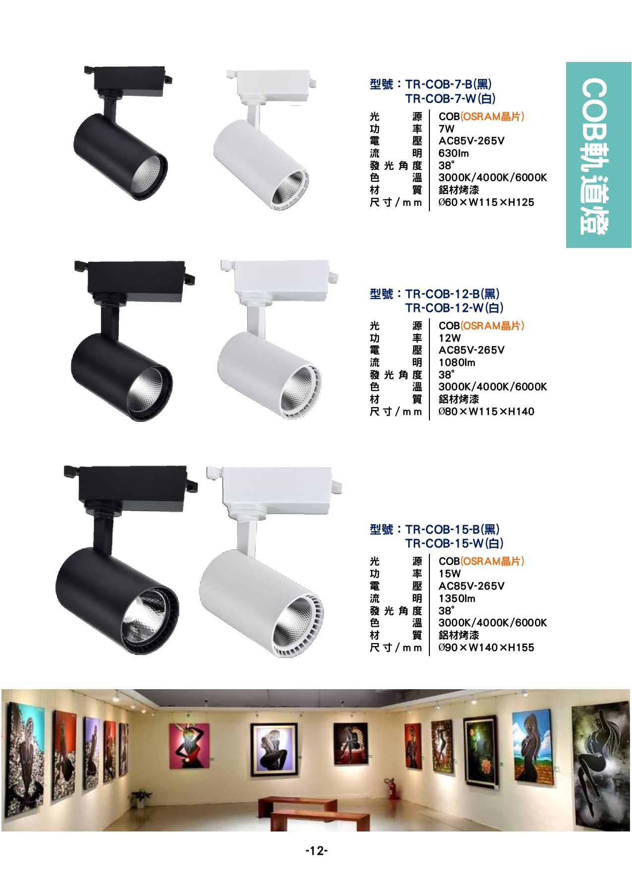 COB軌道燈系列  P12