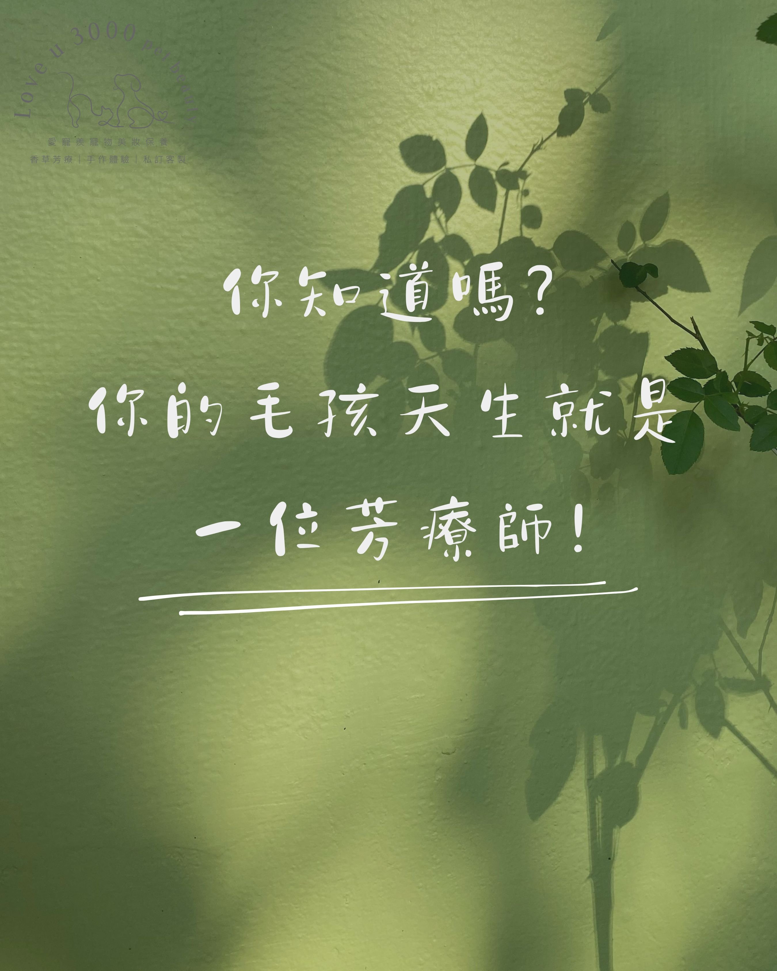 你知道嗎?你的毛孩天生就是一位芳療師!