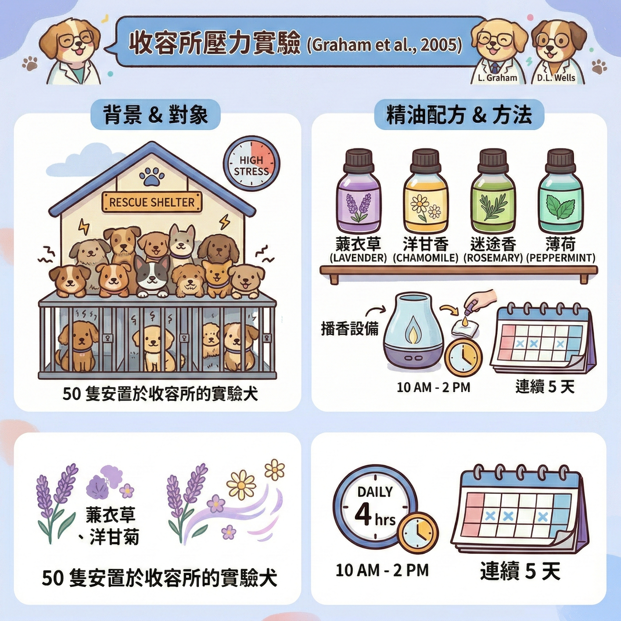 🐶 汪星人的「香氛超能力」？收容所壓力實驗大公開！✨