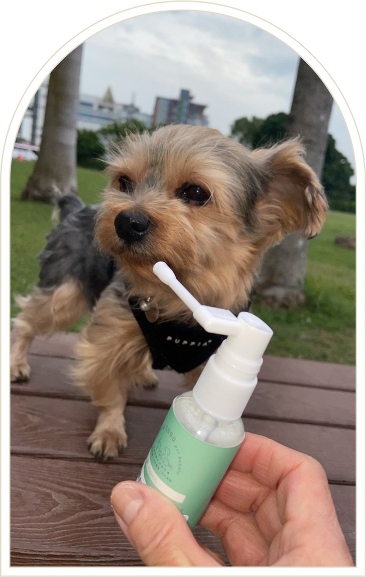 材料包成品說明-(用噴的口香糖)天然口腔除臭晶露30ml