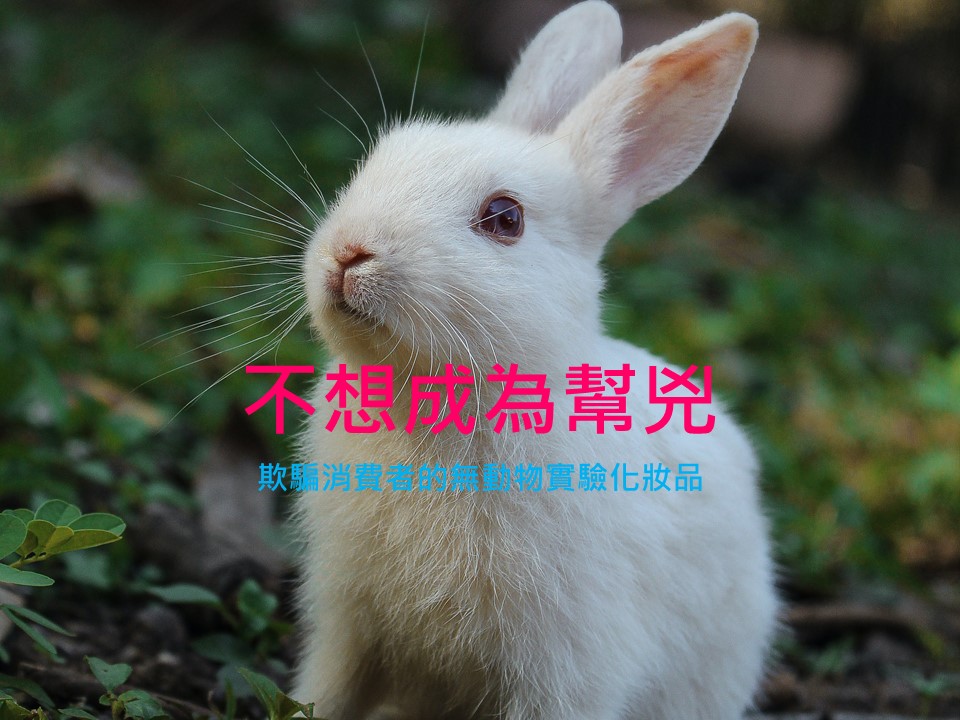 動物實驗，少用化妝品胡扯