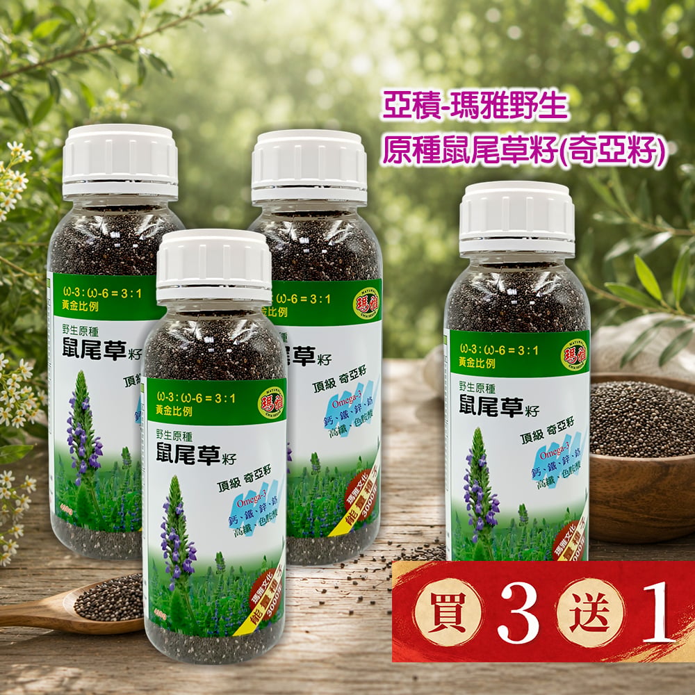 【亞積】瑪雅野生原種鼠尾草籽430g